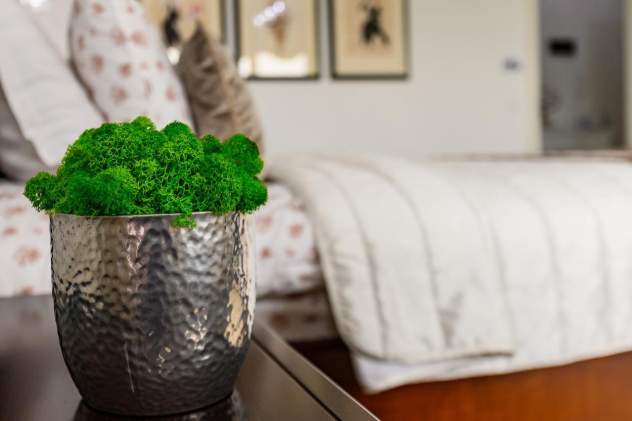 Luxury Apartment Avantgarden 3 ブラショフ エクステリア 写真
